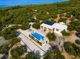 Holiday Home Stomorica - Secluded Olive Estate with Private Pool, Brač