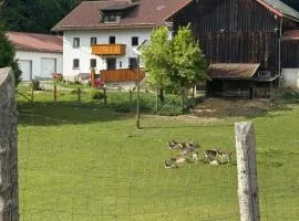 Urlaub auf dem Land