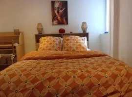 Appartement Neuf Raismes