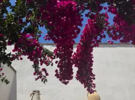 Nonna Annunziata, Casa tipica Salentina vicino le spiagge