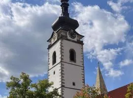 Apartmán U Parku Písek