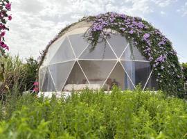הבוסתן של הדס, הדום שבהר, hotel a Yavneʼel