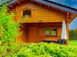 Waldsiedlung - Haus 11