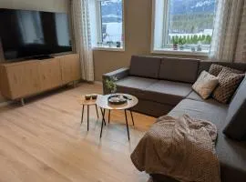 Leilighet på Voss