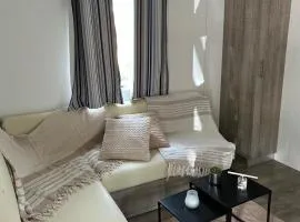 Mobil Home 6 pers climatisé , Landes , Camping 4 étoiles