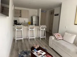 Apartamento frente a Mallplaza