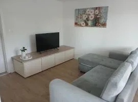 Apartmaji pri Pinku