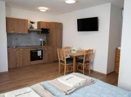 Apartma Biba