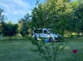 Camping Oazi