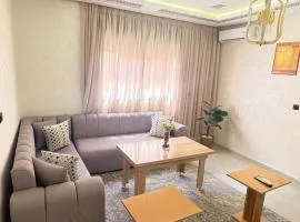 Spacious and Comfortable Apartment