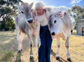 Victorian Farm stay Springbank