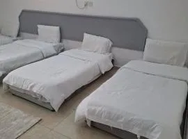 صدى المدينة
