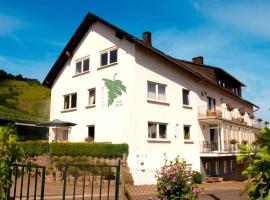 Weingut-Brennerei-Gästehaus Emil Dauns, hotel v mestu Reil