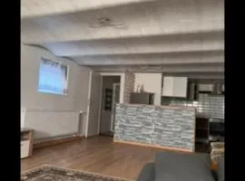 Panoramic Hause