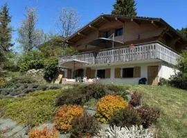Chalet les Marmottes