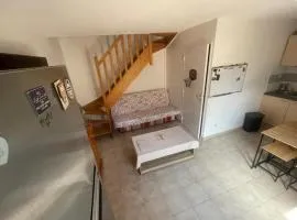 Maison avec jardin