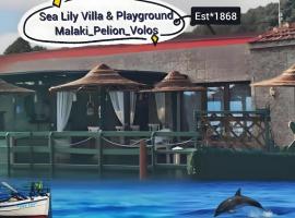 Sea Lily Villa & Playground、Platanidiaのホテル