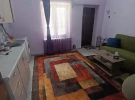 Small home