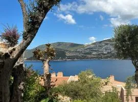 Villa Olive Garden, Kalkan Club Patara