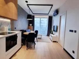 Apartament Ryżowa 66B
