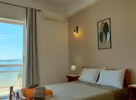 Fiorentina apartments