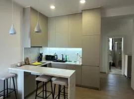 Zenith Lux Apartment Beachfront & Parking