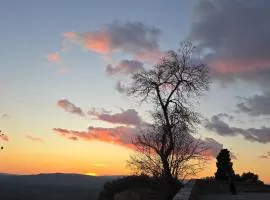 Affittacamere Dal Falco
