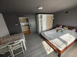 Wyspa Karsibór Świnoujście Apartament