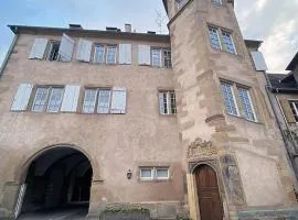 Appartement Renaissance classé - Charme alsacien