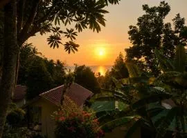 Flow Jungle Residency