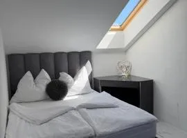 SC Apartments Bad Goisern - contactless check in