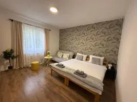 Apartment Angela Zemun 3