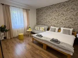 Apartment Angela Zemun 3