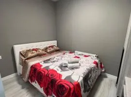 APARTMENT CENTRAL zm