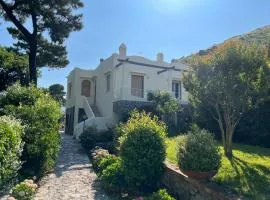 Villa due rami Anacapri