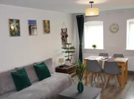 Świerkowy Zdrój Apartment