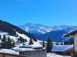 LES SAISIES CENTRE STATION F2 pour 4 personnes