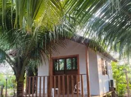 Jimmys cabins