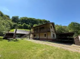 Cabana Din Pădure