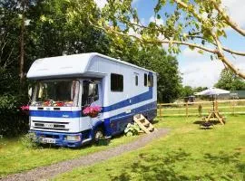 Tarka Trail Horsebox