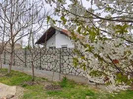 Guest house with sauna