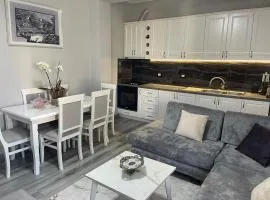 Shoraj Rent House