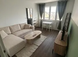 Bel appartement, quartier demi-lune