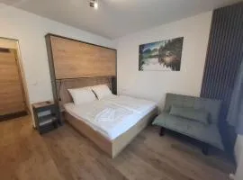 Apartment Hannah in Haus im Ennstal - 5 min to Schladming
