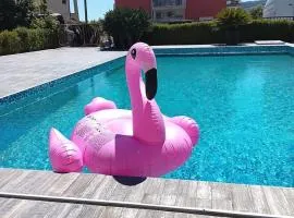 Apartment Lazy Dayz Pool