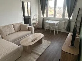 Bel appartement, quartier demi-lune