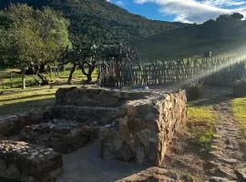 Kromrivier Farm Stays & B&B Near Addo Elephant Park