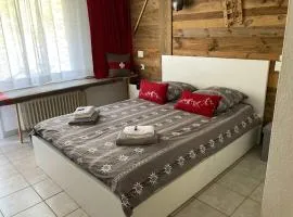 House St-George Studio Alpine with terrace and view on village