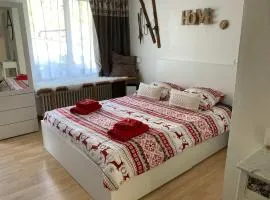 House St-George Studio Cozy with terrace and view on village of Zermatt