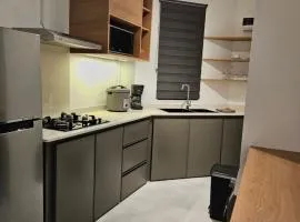 Cozy and Newly Furnished 1 bedroom apartment in Curepipe Centre
